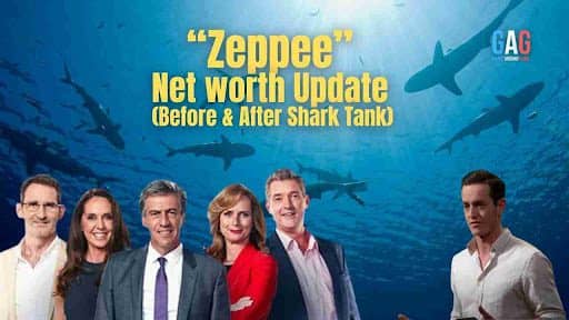 “Zeppee” Net worth Update (Before & After Shark Tank)