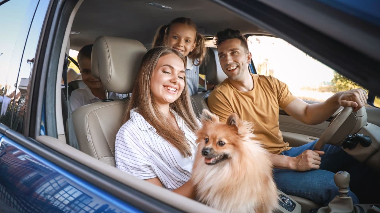How to the Best Family Vehicle That Fits All Your Needs