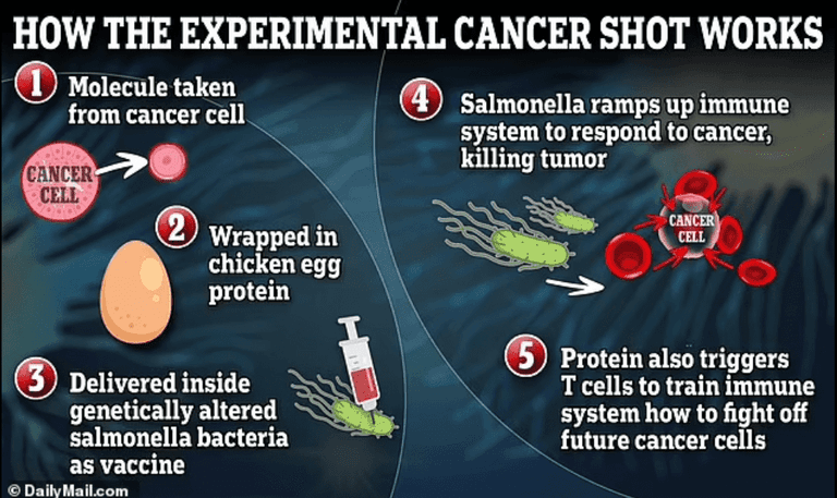 Featured image for scientists-created-vaccine-cure-hard-to-treat-cancer