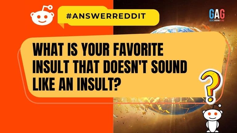 What is your favorite insult that doesn’t sound like an insult