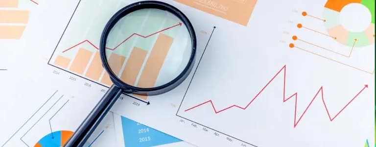 Financial statement analysis