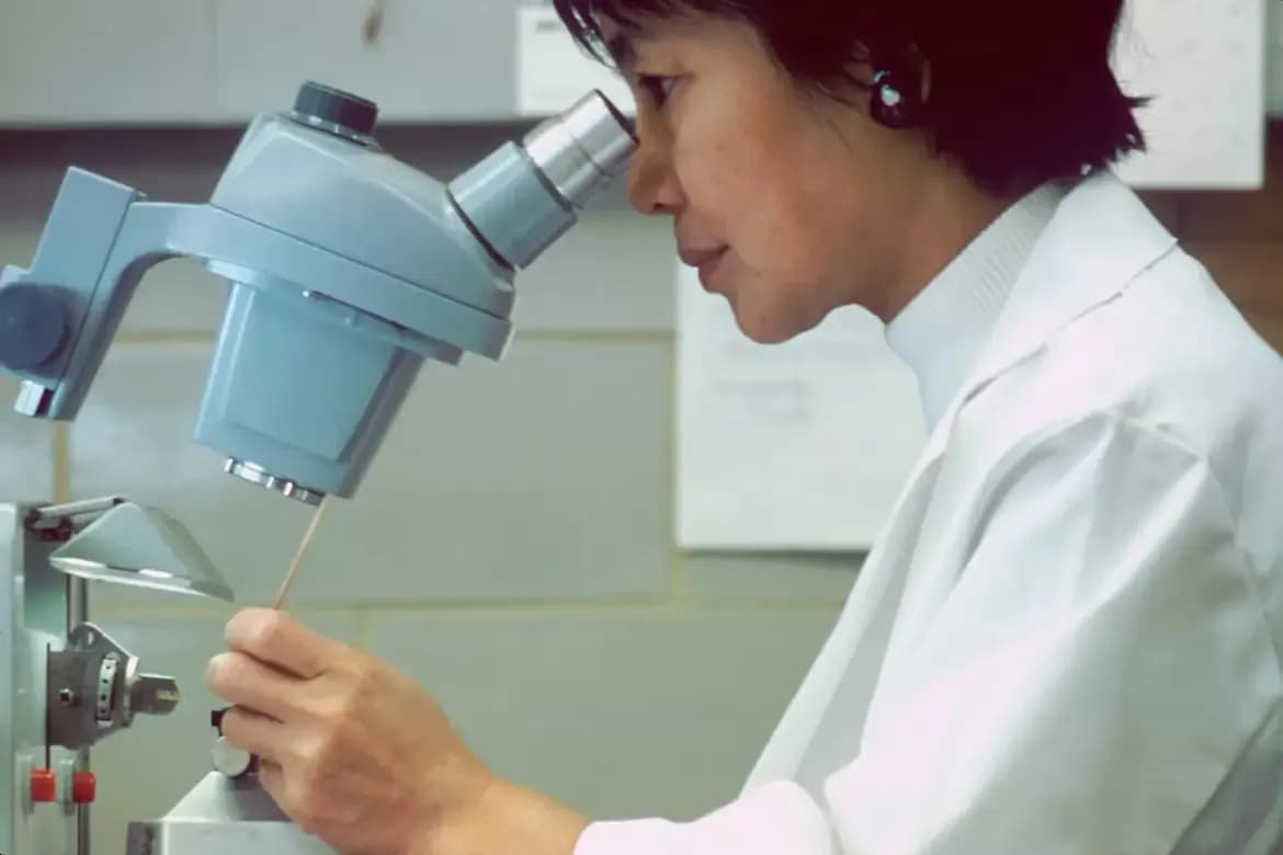 Professional development in tumor research