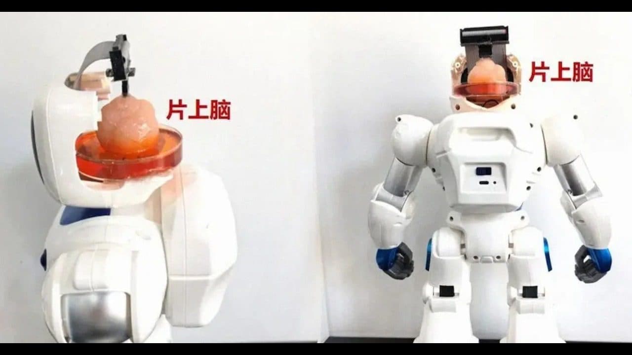 robot human brain resize