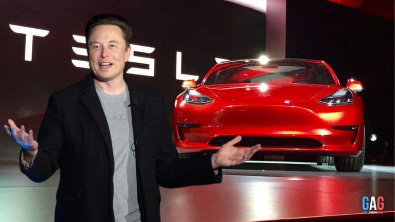 Elon-Musk-Networth-in-2022