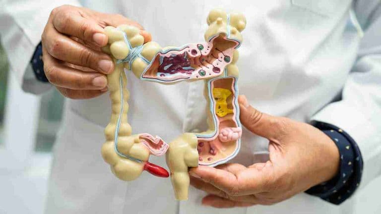Exploring the Digestive Journey Assessing the Effectiveness of Gut Health Powders
