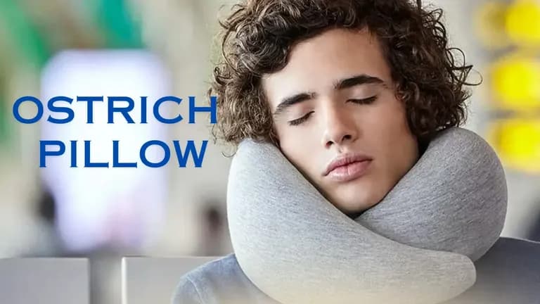OSTRICH PILLOW