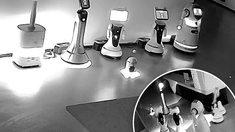 Robot Rebellion: AI Leads 12 Bots in Shanghai Walkout