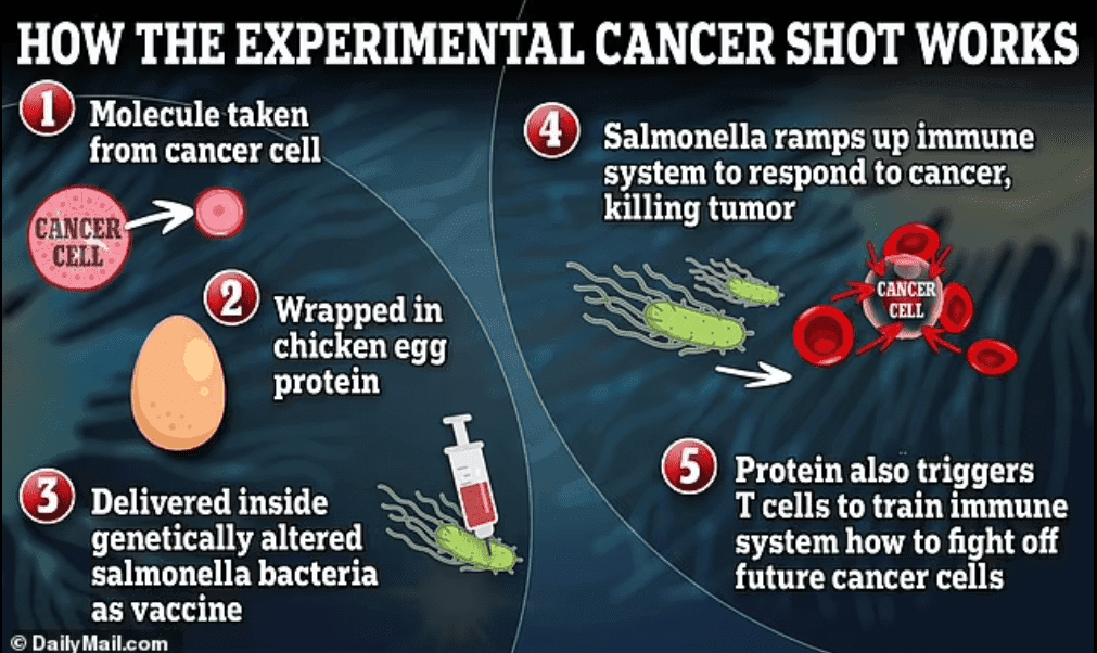 Featured image for scientists-created-vaccine-cure-hard-to-treat-cancer