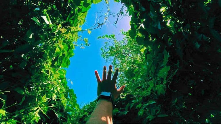 What if humans could photosynthesize