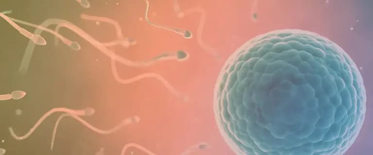 Assisted reproduction