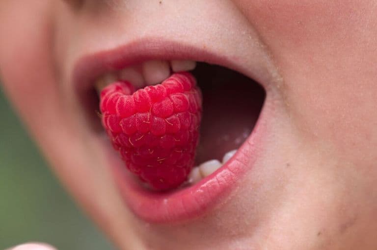 Featured image for dental-health-tips
