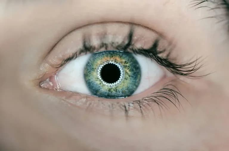 AI camera vision