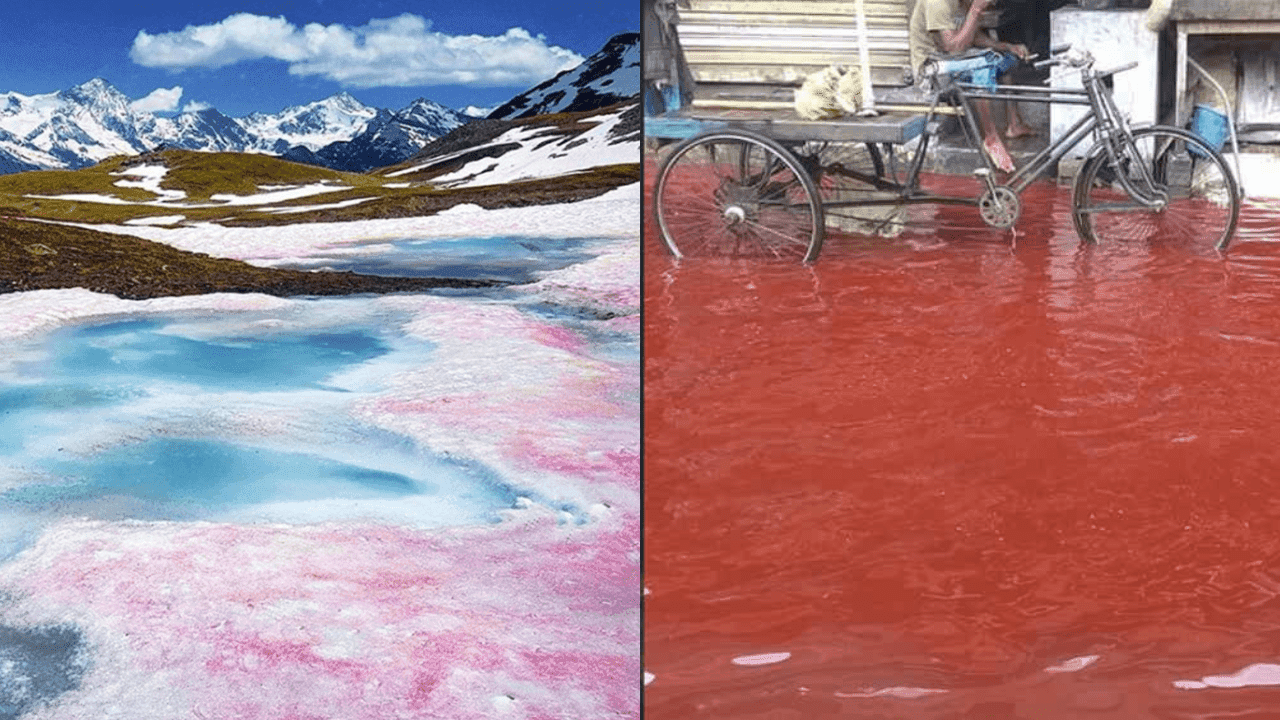 14 Strange Rains on Earth You Won’t Believe Actually Happened