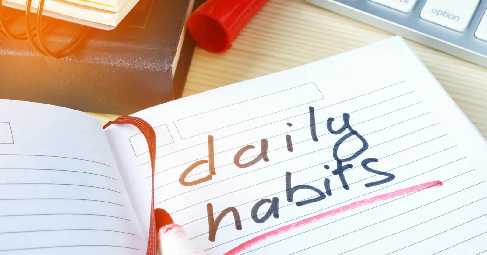 Daily habits that make students more effective