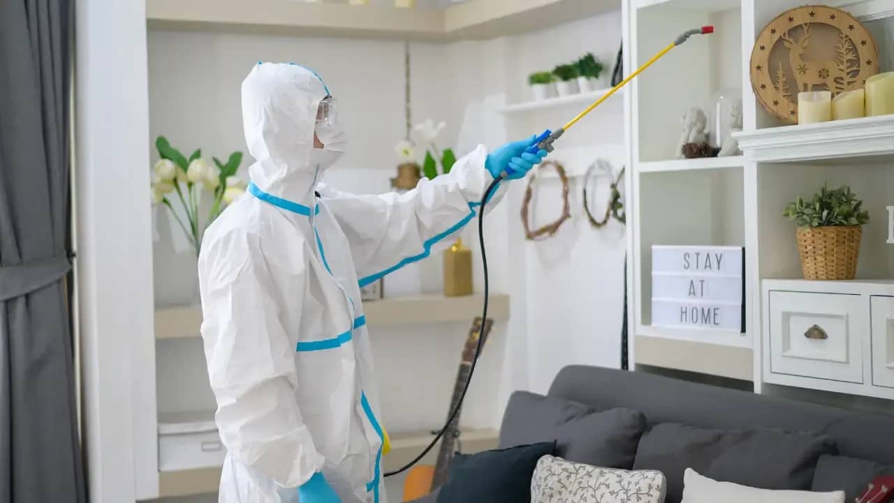 Home pest-free