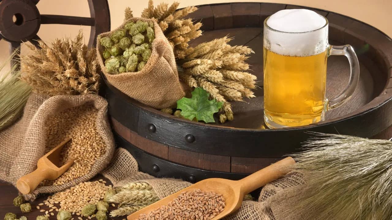 How to Choose the Right Ingredients for Your First Home Brew