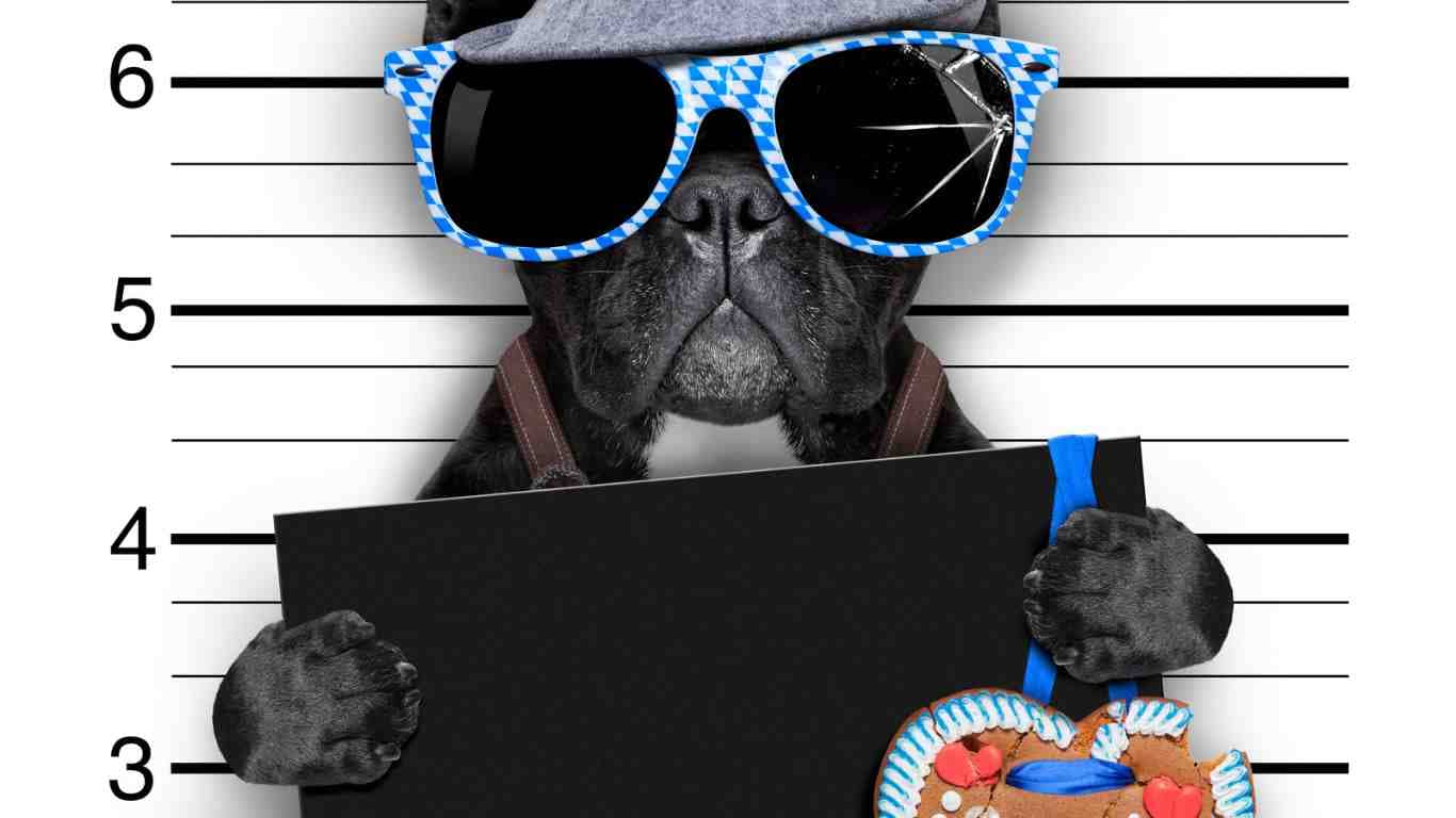 Mugshots
