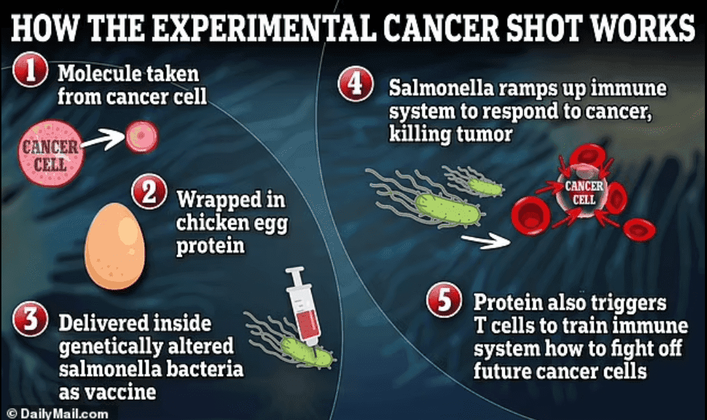 Featured image for scientists-created-vaccine-cure-hard-to-treat-cancer