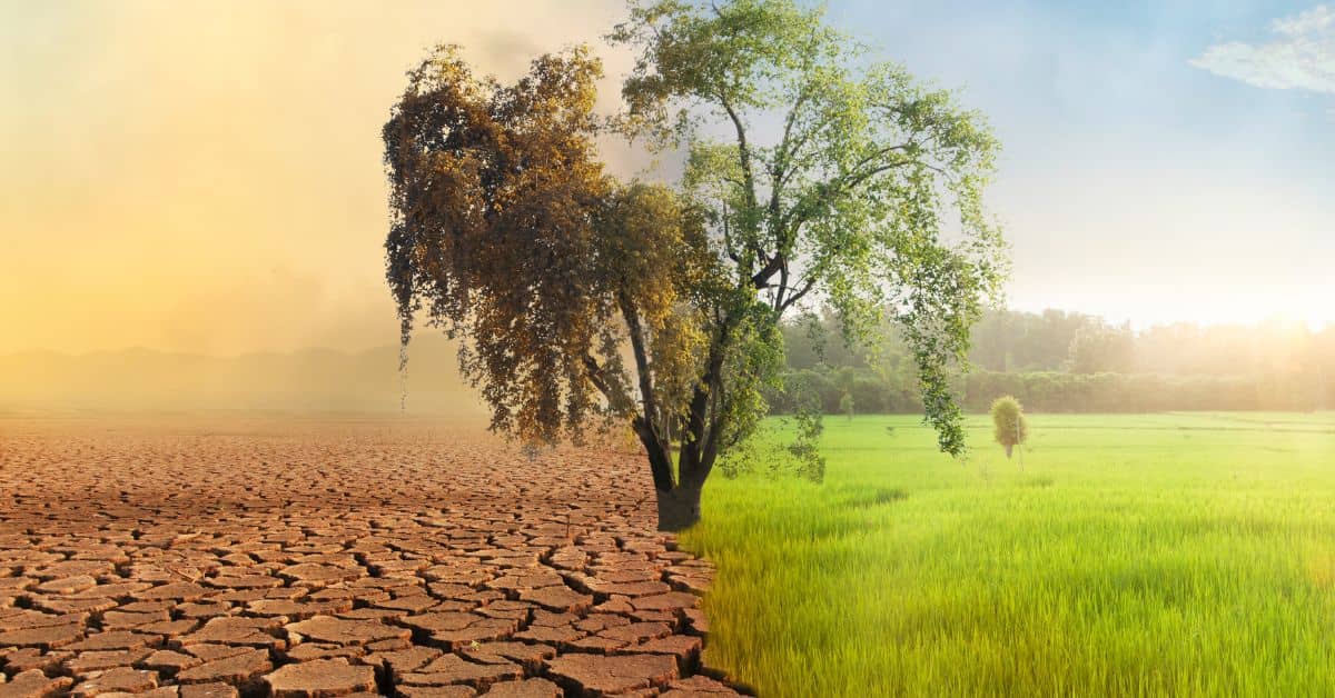 Sustainability in Portrait Photography How AI Can Reduce Environmental Impact