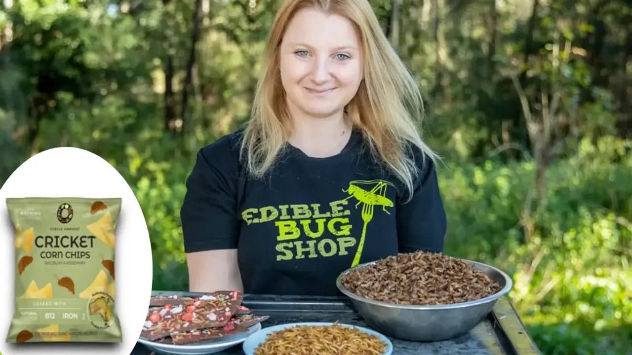 Skye Blackburn, founder of Edible Bug Shop, with bowls of edible insects and cricket corn chips on display