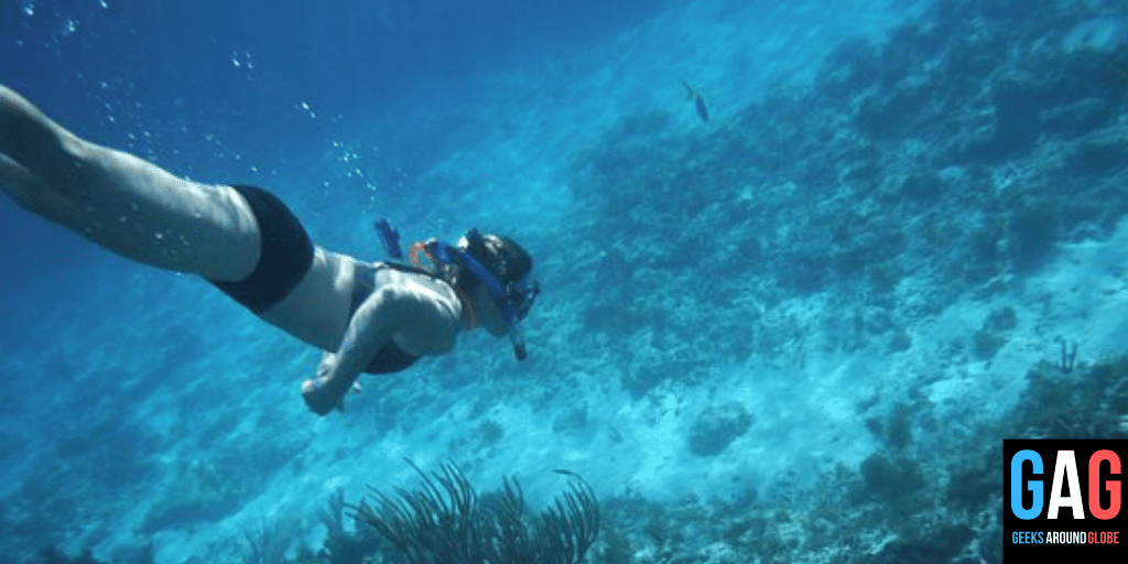 Cuba’s Diving Spots - Geeks Around Globe