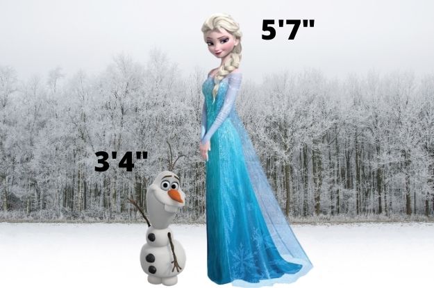The actual height of OLAF
