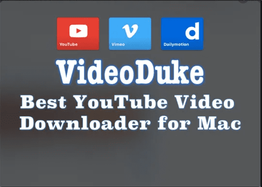VideoDuke App Review