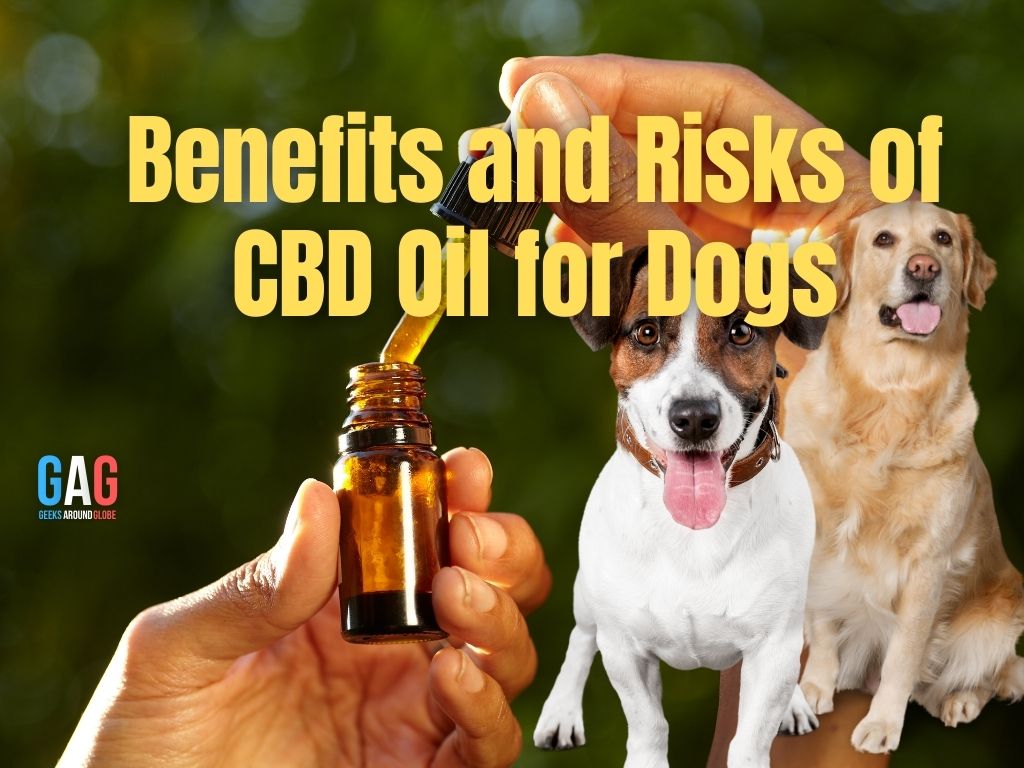 Benefits and Risks of CBD Oil for Dogs