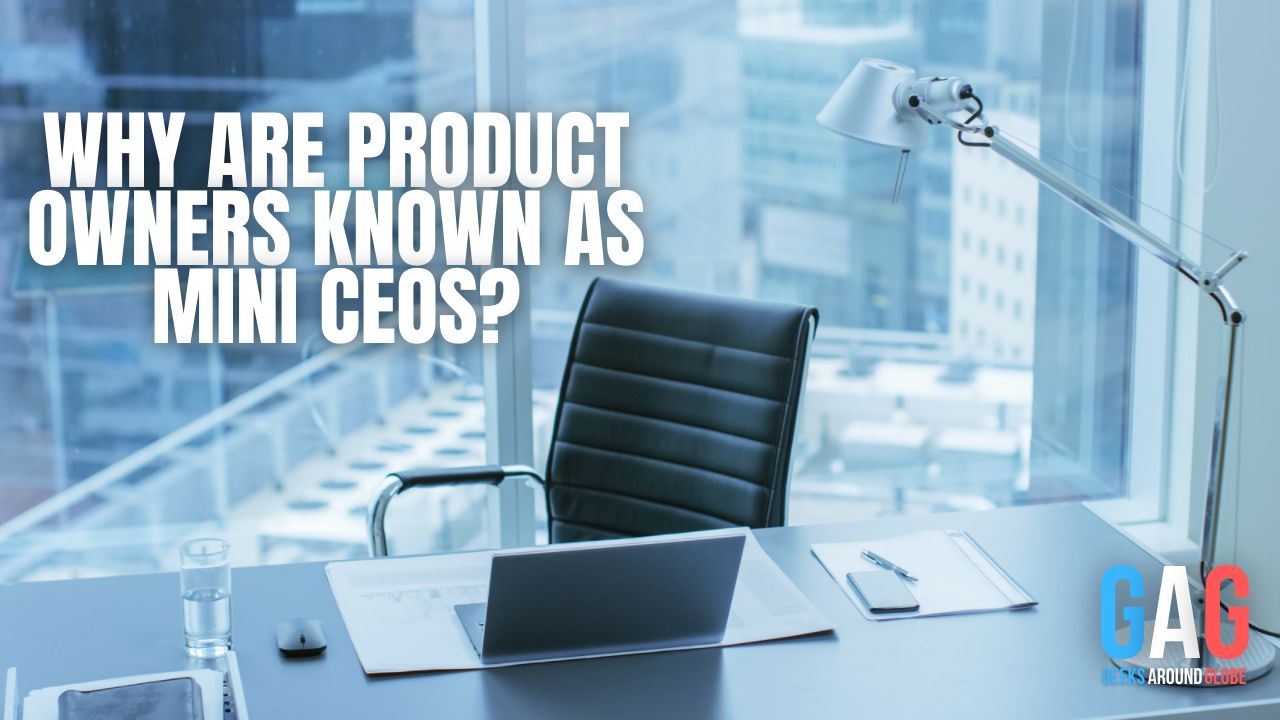 Why are Product Owners Known as Mini CEOs?