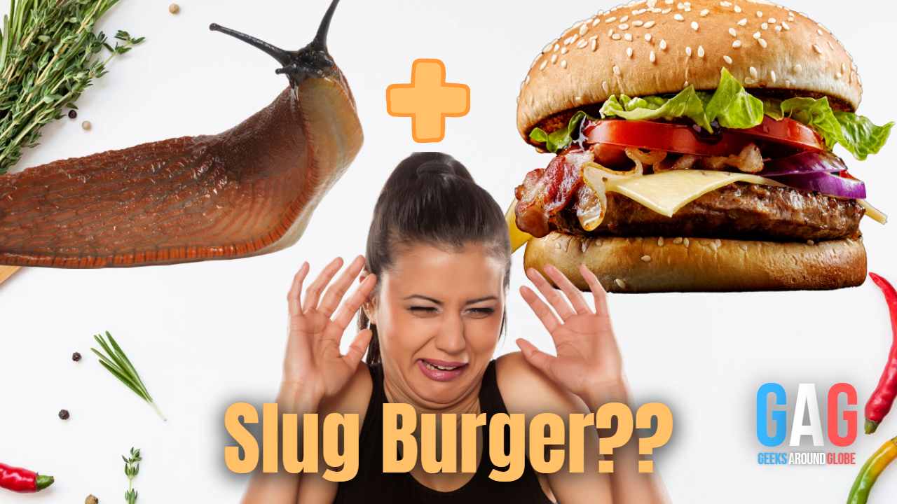 Is slugburger made out of actual slugs? Here are 5 questions answered about slugburger