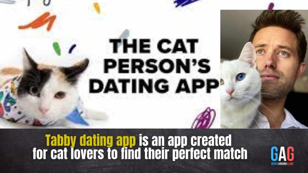 Tabby dating app is an app created for cat lovers to find their perfect match