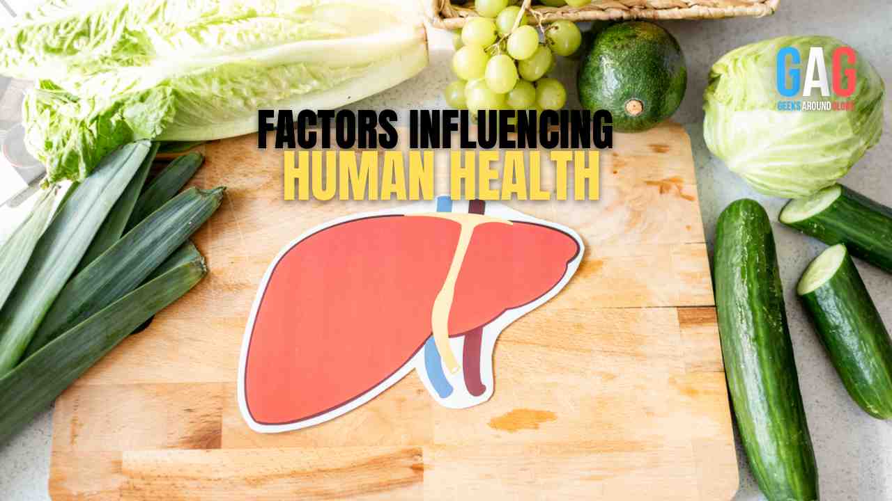 Factors Influencing Human Health