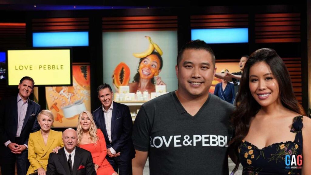 Love & Pebble, What happened to the Love & Pebble Skin Care company after the shark tank