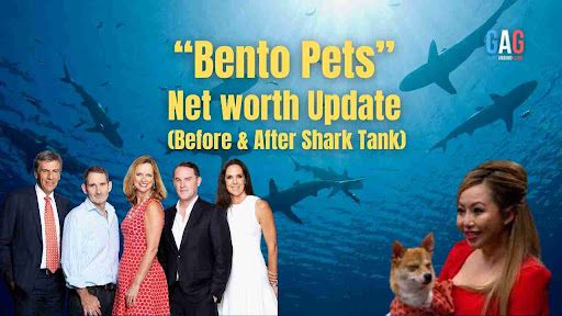 Bento Pets Net Worth 2024 Update (Before & After Shark Tank)