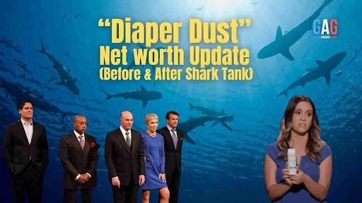 Diaper Dust Net Worth 2023 Update (Before & After Shark Tank)