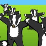 Here is All you need to know about Badgers meme