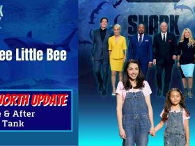 Shark-Tank-US-Net-worth-UpdateBig-Bee-Little-Bee