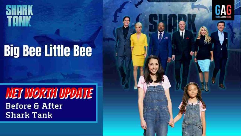 Big Bee Little Bee Net Worth 2023 Update (Before & After Shark Tank)
