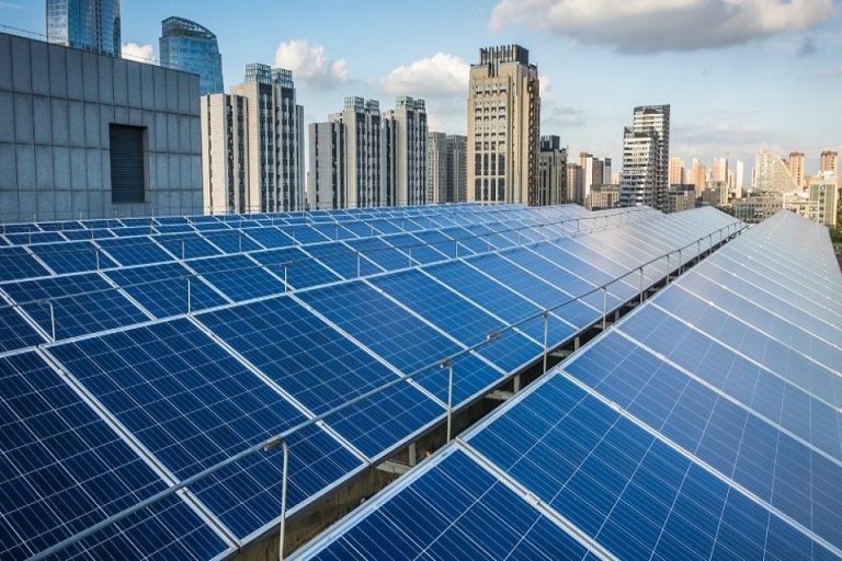 Everything You Need to Know about Commercial Solar Panels