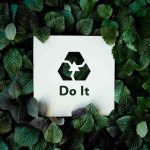 The Importance of Going Green: Develop a Self-Sustainable Home