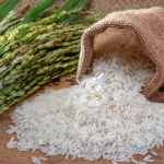 Learn more about Jasmine rice