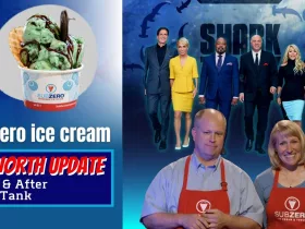 "SubZero Ice Cream Net Worth 2023 Update