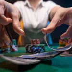 How Does Software Provider Affect the Success of an Online Casino
