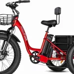 MAXFOOT Electric Tricycle Key Parts And More