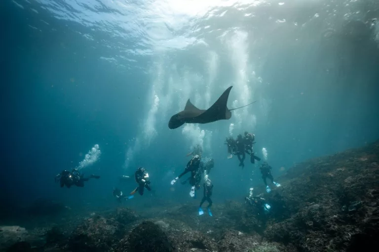 Exploring the Depths of Bali: A Comprehensive Guide to Diving in Paradise