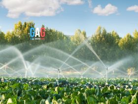 Advantages of Pressure Regulator in Irrigation