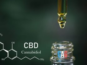 Expert Tips for Properly Administering CBD Oil to Your Four-Legged Friend