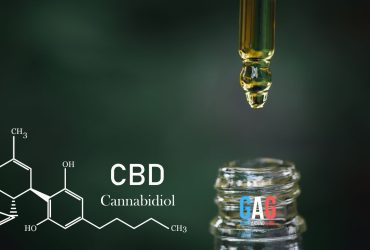 Expert Tips for Properly Administering CBD Oil to Your Four-Legged Friend