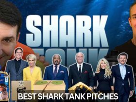 14 Best Shark Tank Pitches from Each Season
