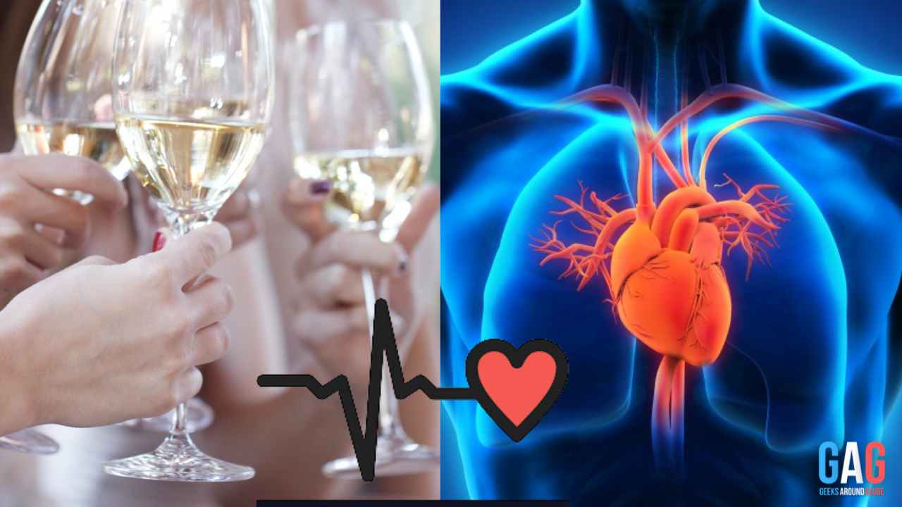 New Study Reveals | How One Daily Alcoholic Beverage Could Help Lower Heart Disease Risk